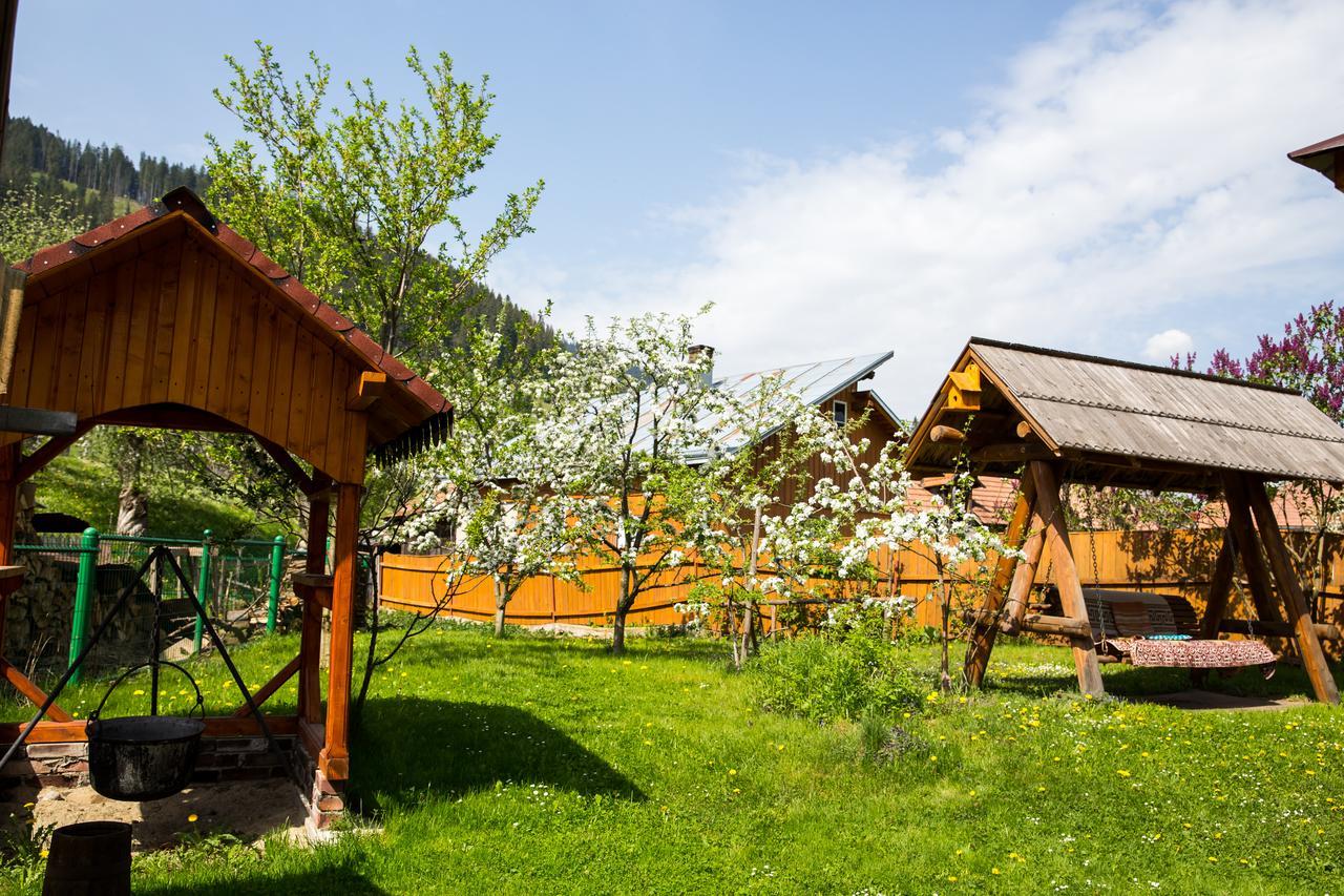 Pensiunea Casa-stefanel * Sadová